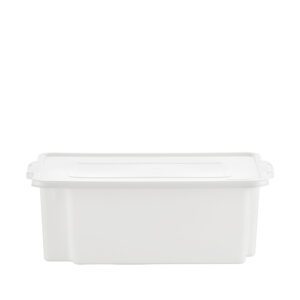 CAIXA ORGANIZATTA MULTIUSO C/ TAMPA 15,0 L