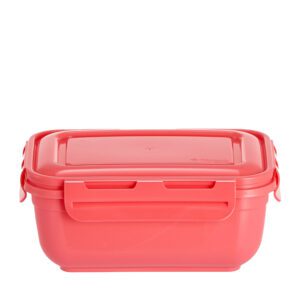 POTE RETANGULAR FLIPLOCK 3,6 L COLOR