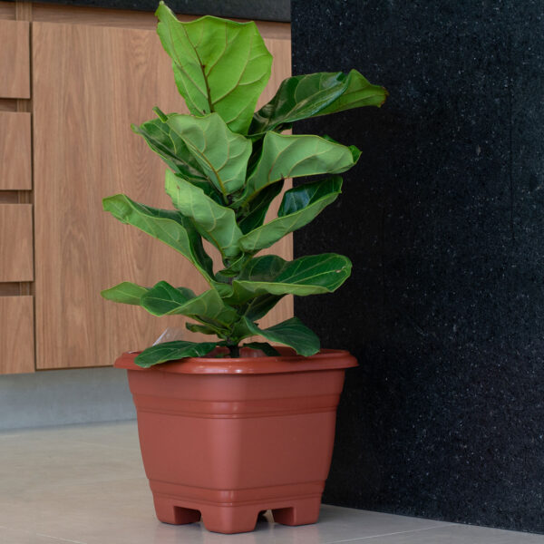 VASO QUADRADO BELLA FIORE Nº35 17,5 L TELHA - Imagem 2
